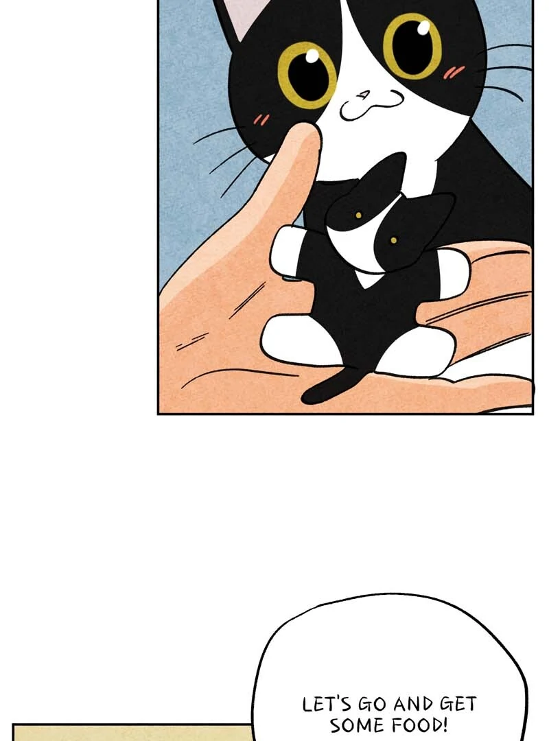 The Tale Of Goldiluck, The Black Kitten Chapter 108 - page 49