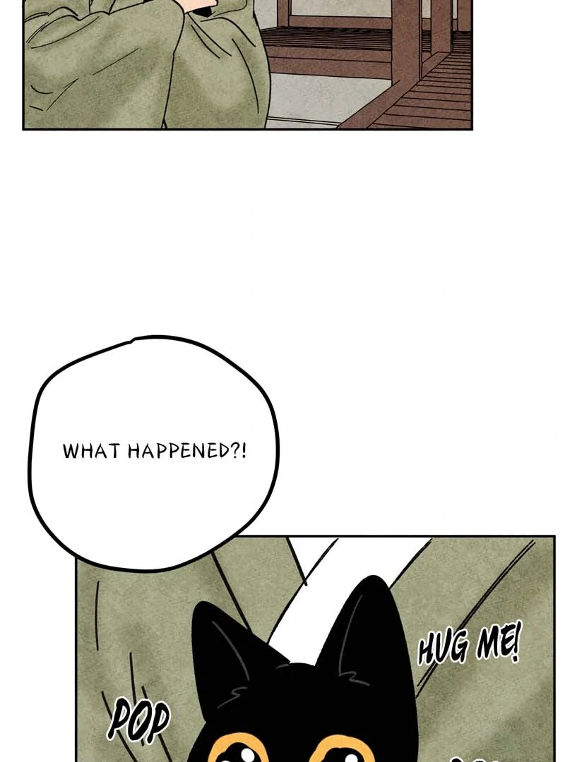 The Tale Of Goldiluck, The Black Kitten Chapter 108 - page 61