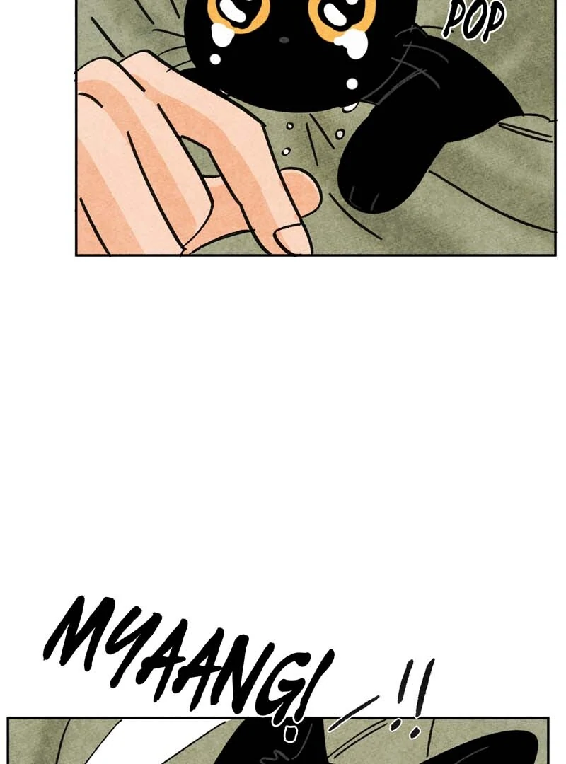 The Tale Of Goldiluck, The Black Kitten Chapter 108 - page 62