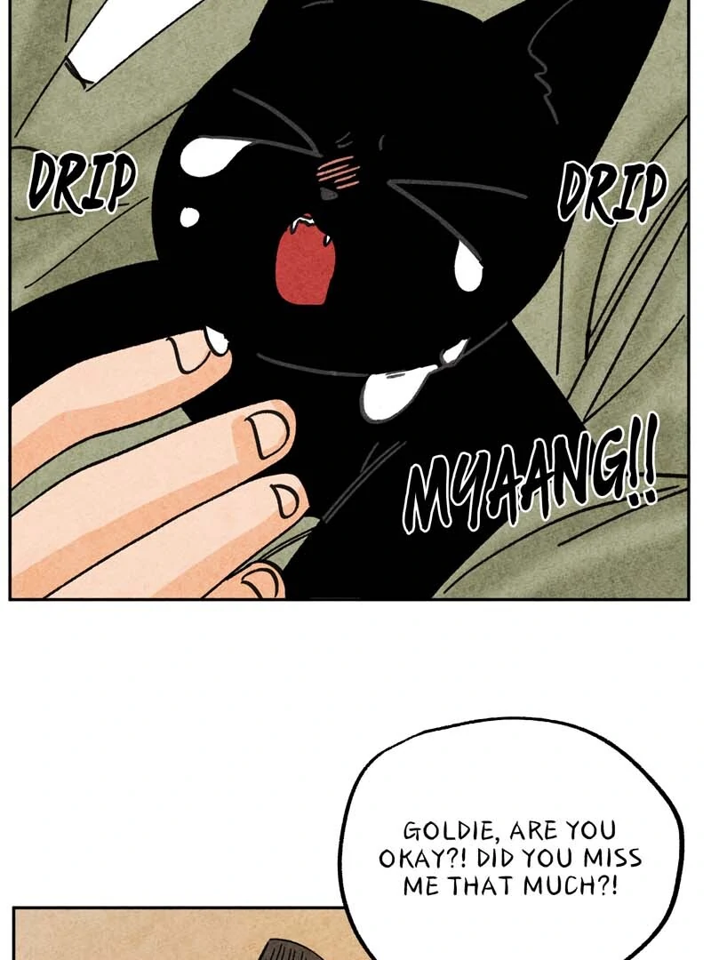 The Tale Of Goldiluck, The Black Kitten Chapter 108 - page 63