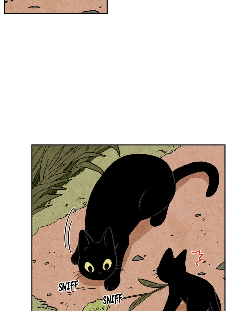 The Tale Of Goldiluck, The Black Kitten Chapter 109 - page 13