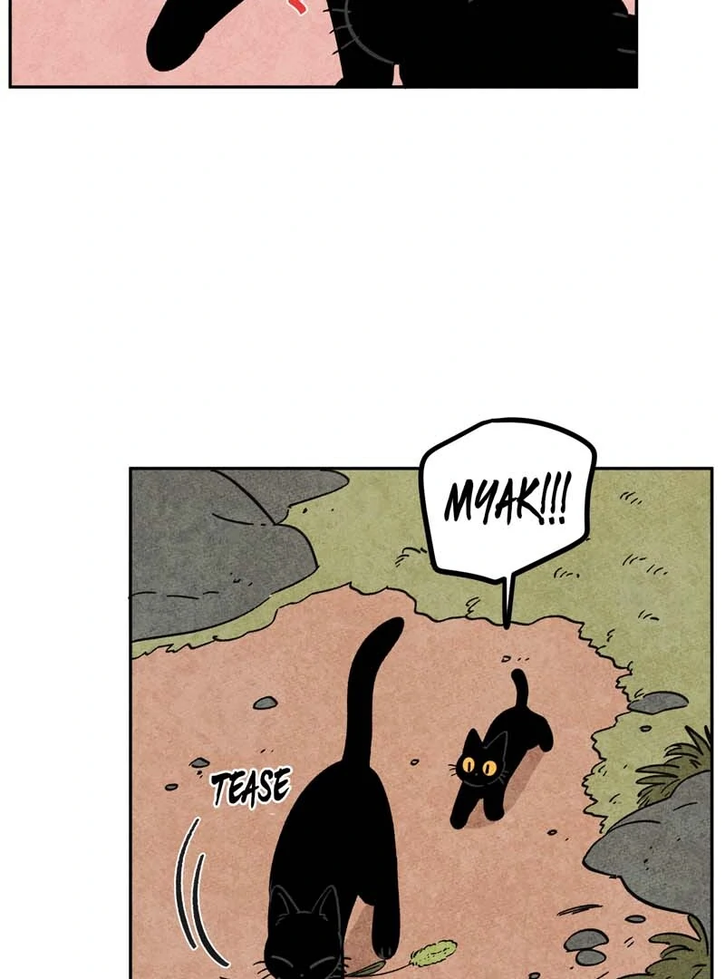 The Tale Of Goldiluck, The Black Kitten Chapter 109 - page 19
