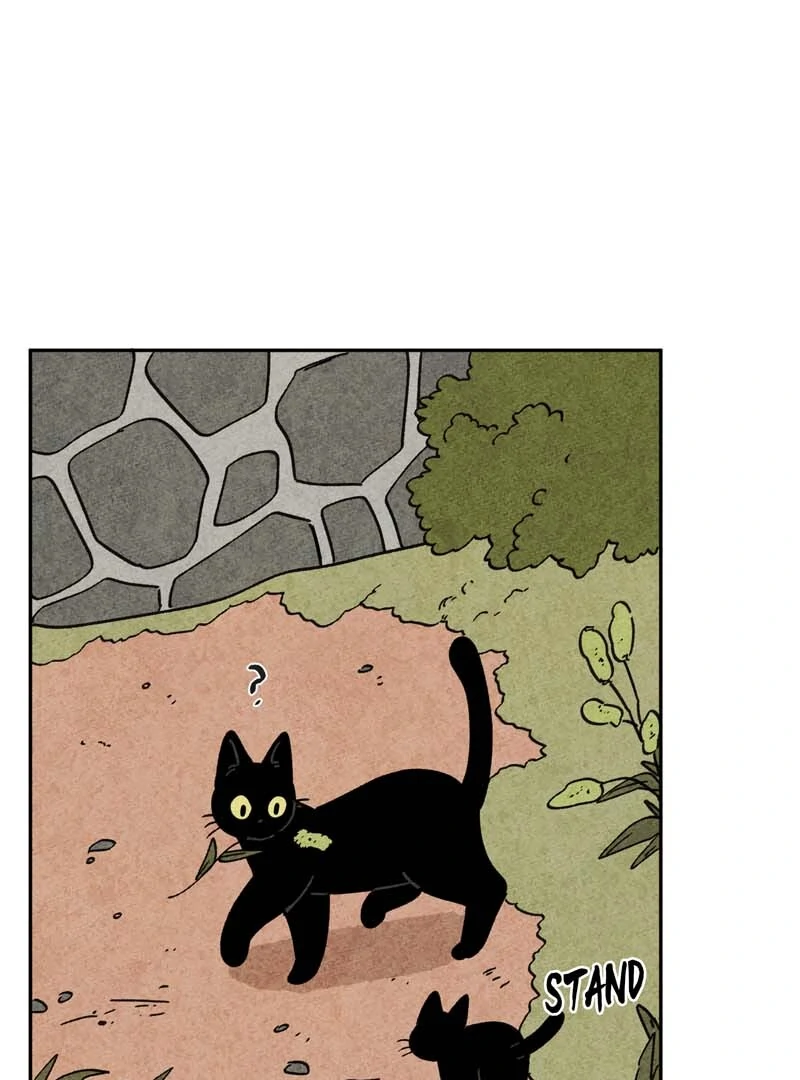 The Tale Of Goldiluck, The Black Kitten Chapter 109 - page 24