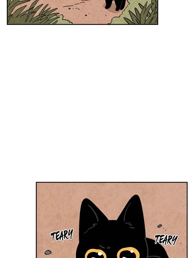 The Tale Of Goldiluck, The Black Kitten Chapter 109 - page 25