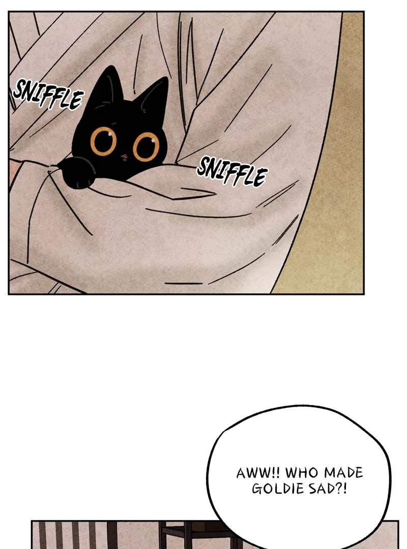 The Tale Of Goldiluck, The Black Kitten Chapter 109 - page 42