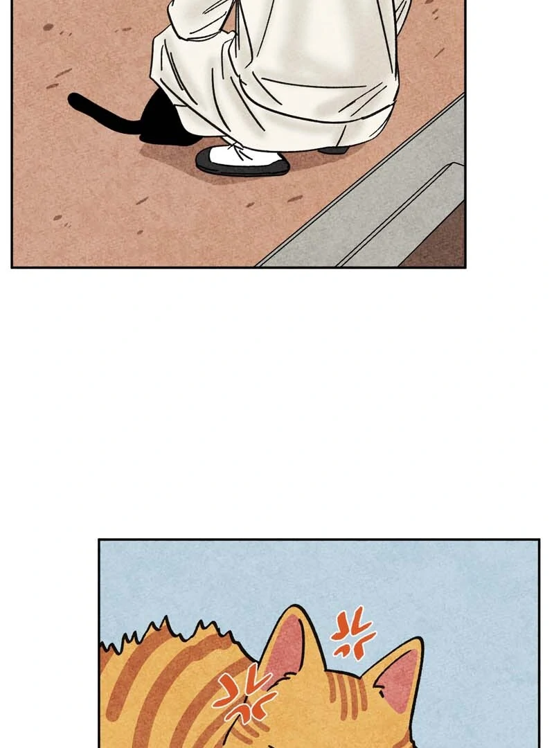The Tale Of Goldiluck, The Black Kitten Chapter 109 - page 68