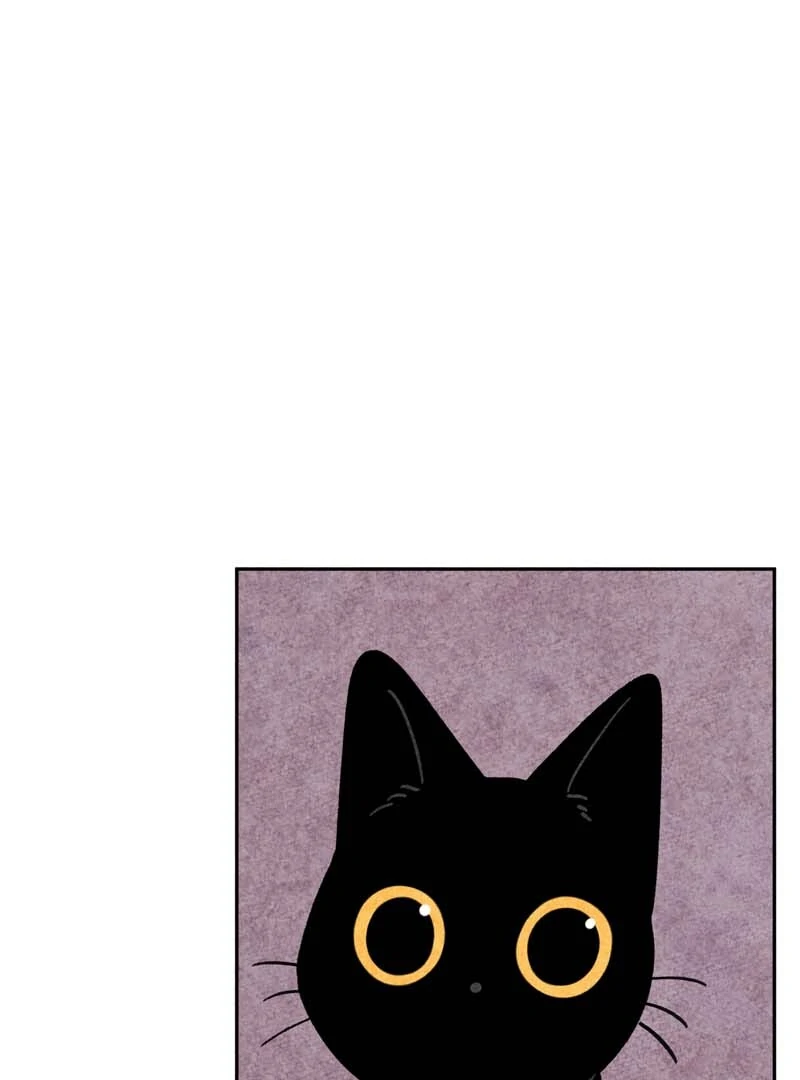 The Tale Of Goldiluck, The Black Kitten Chapter 110 - page 1