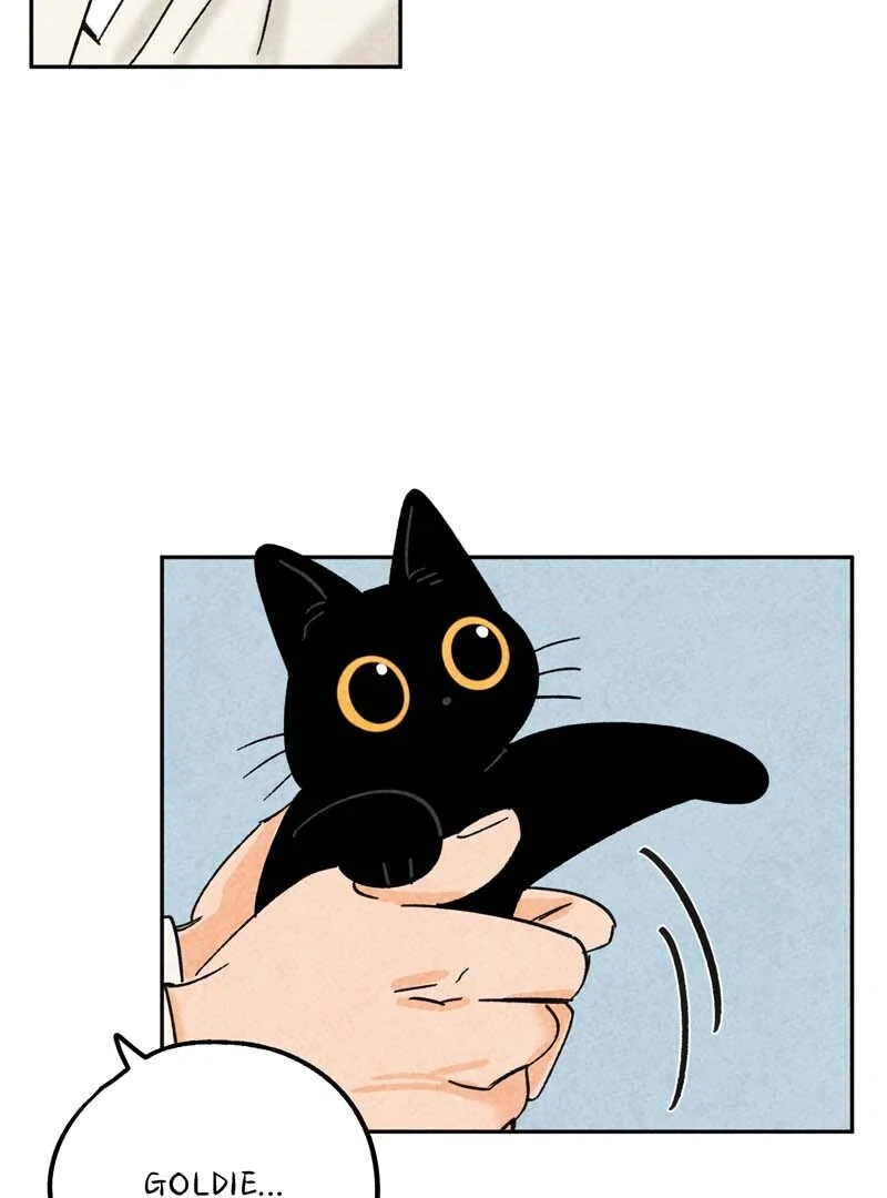 The Tale Of Goldiluck, The Black Kitten Chapter 110 - page 16