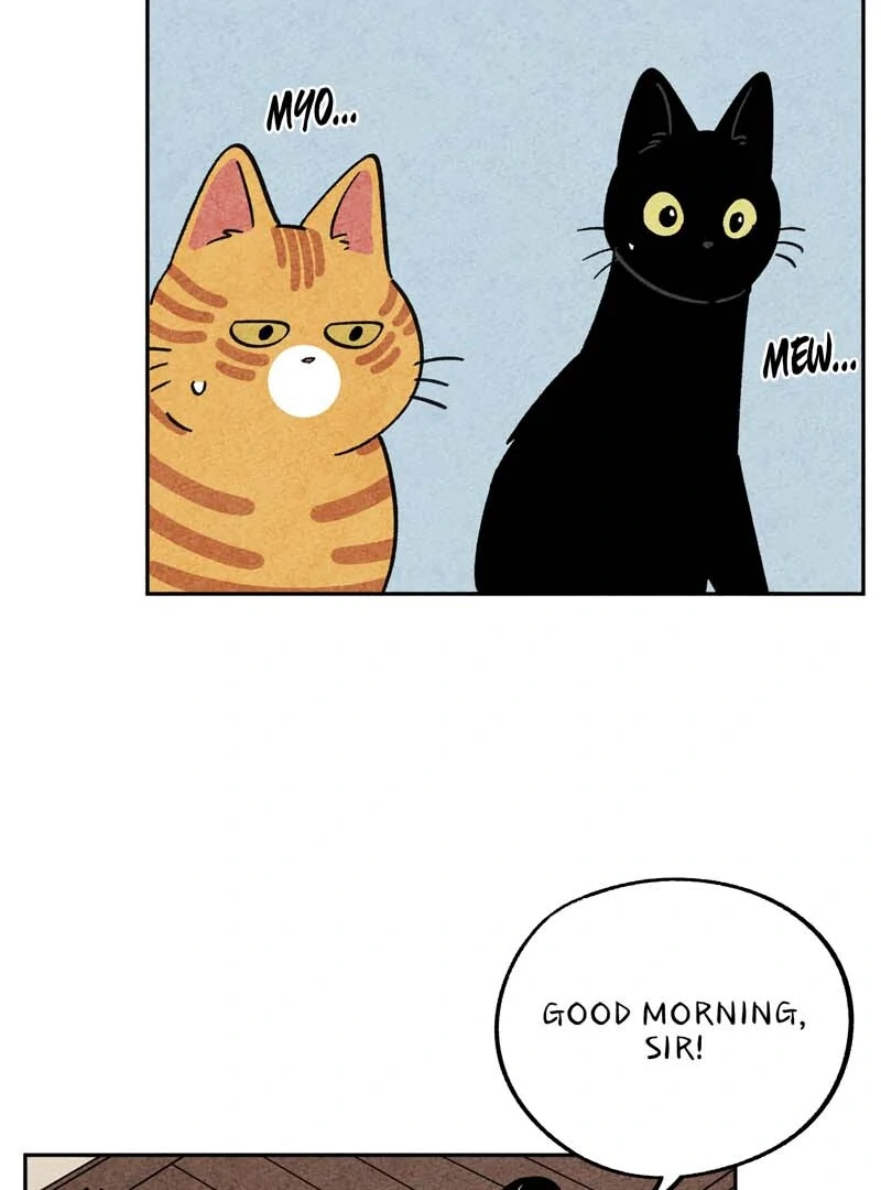 The Tale Of Goldiluck, The Black Kitten Chapter 110 - page 24