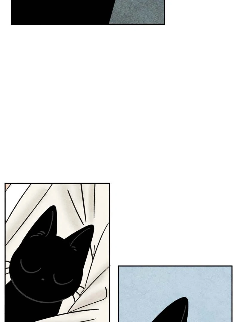 The Tale Of Goldiluck, The Black Kitten Chapter 110 - page 36