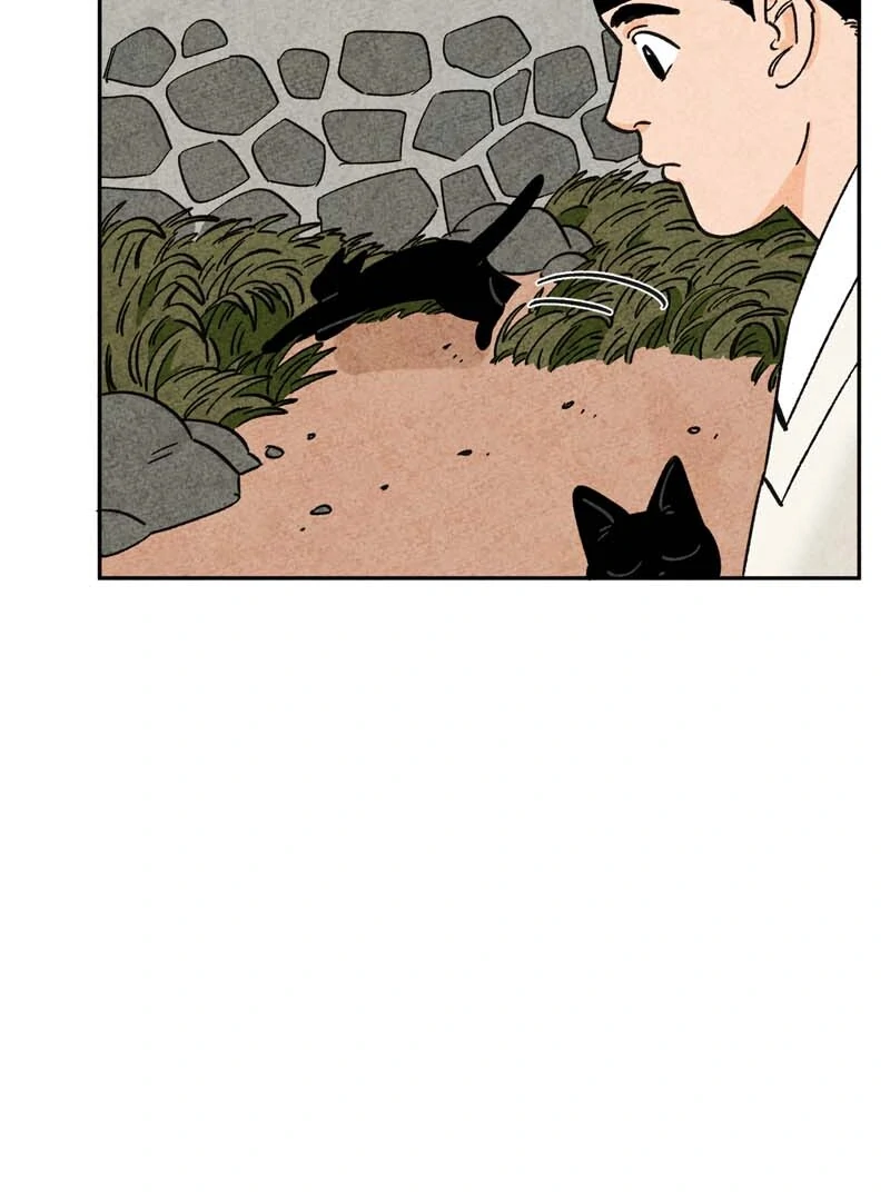 The Tale Of Goldiluck, The Black Kitten Chapter 110 - page 38