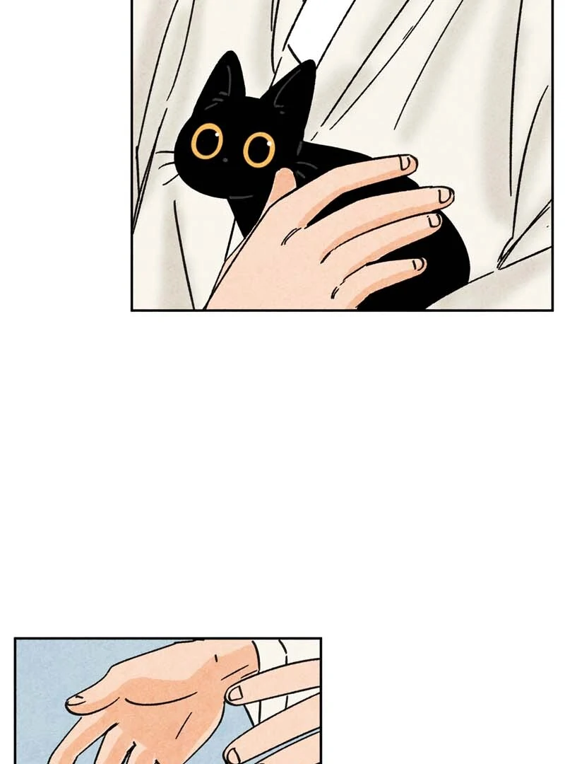 The Tale Of Goldiluck, The Black Kitten Chapter 110 - page 46