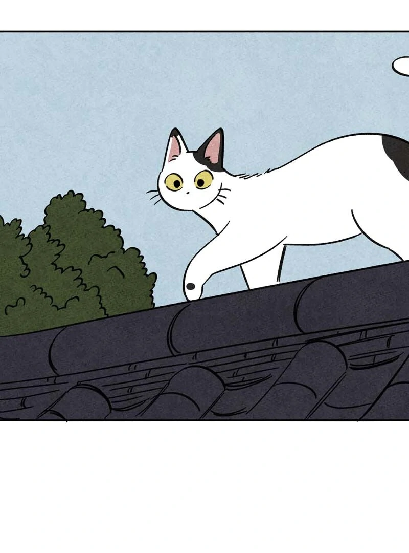 The Tale Of Goldiluck, The Black Kitten Chapter 110 - page 51