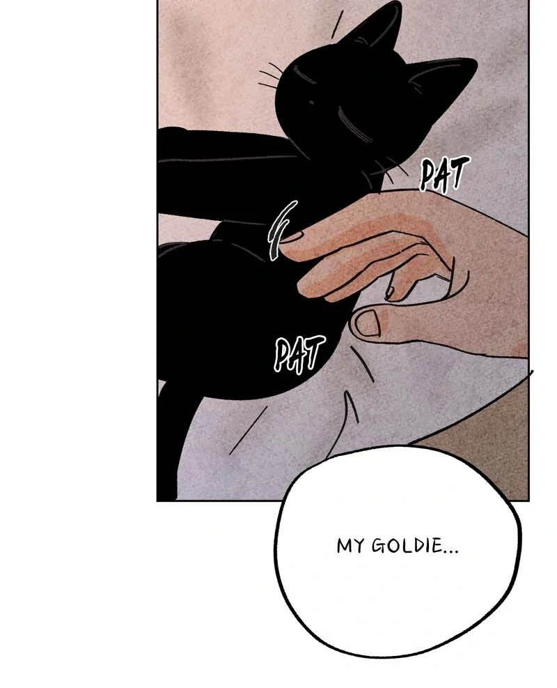 The Tale Of Goldiluck, The Black Kitten Chapter 111 - page 43