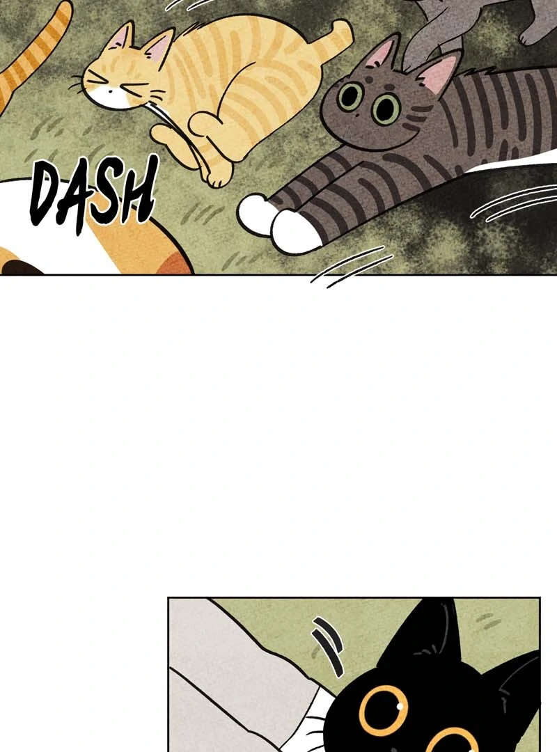The Tale Of Goldiluck, The Black Kitten Chapter 111 - page 51