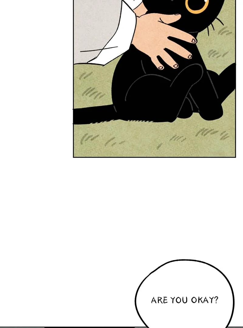 The Tale Of Goldiluck, The Black Kitten Chapter 111 - page 52