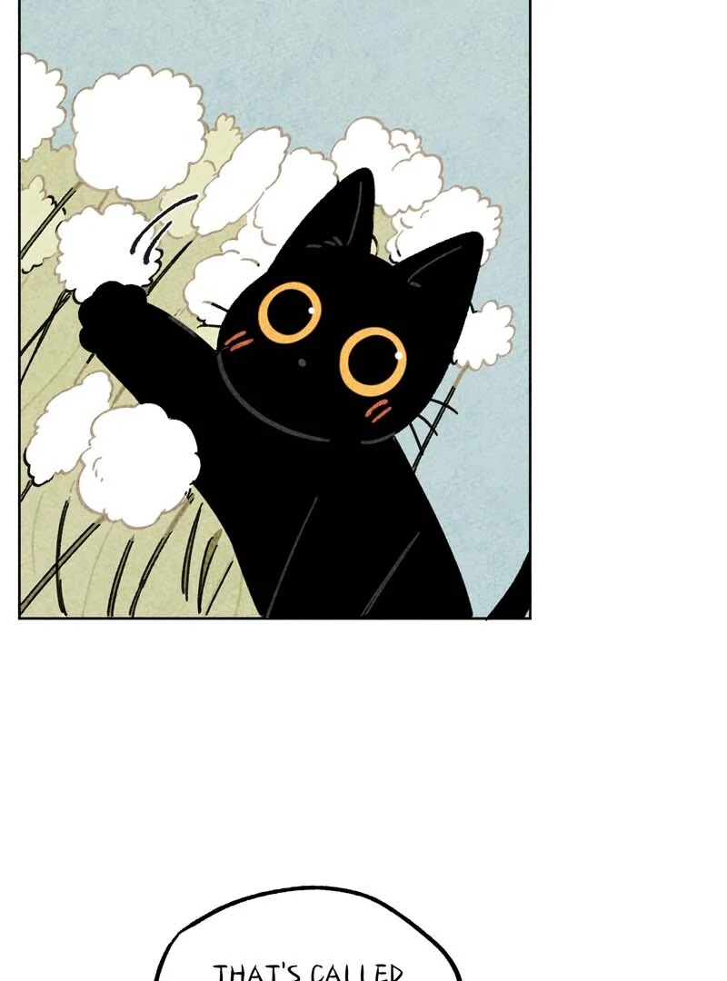 The Tale Of Goldiluck, The Black Kitten Chapter 111 - page 55