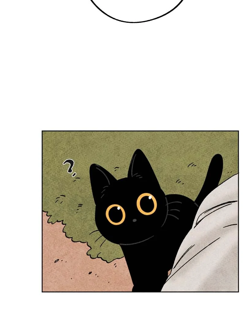 The Tale Of Goldiluck, The Black Kitten Chapter 111 - page 66