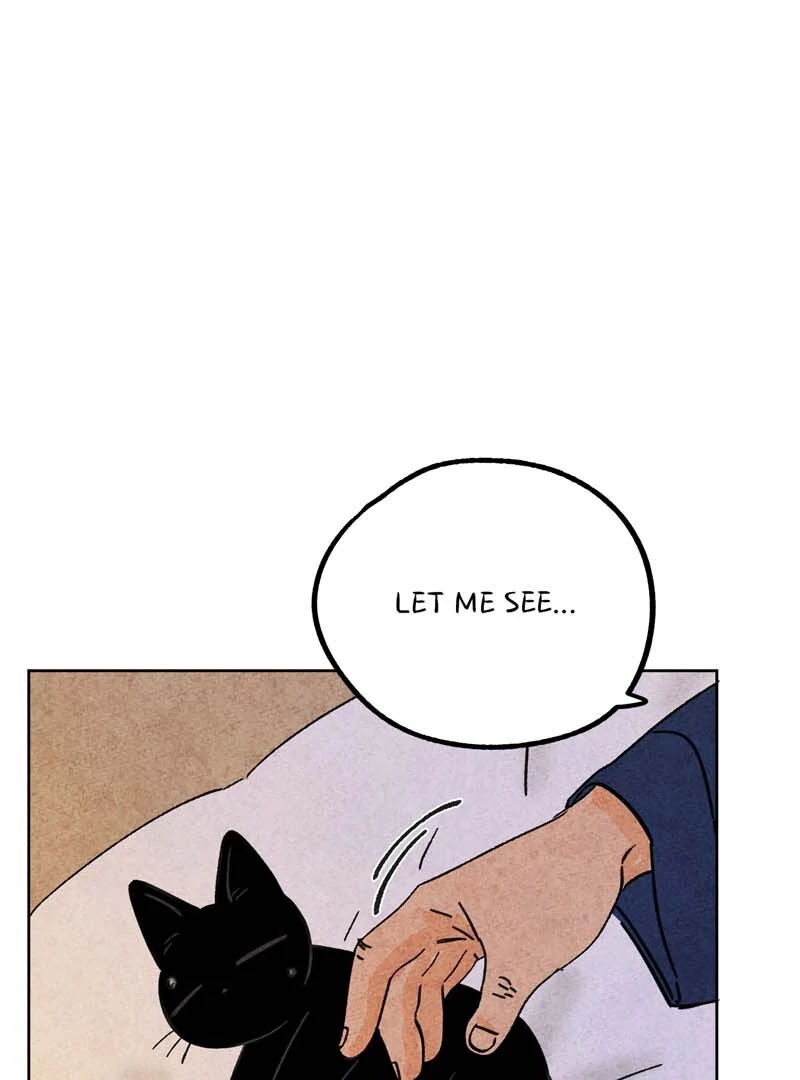 The Tale Of Goldiluck, The Black Kitten Chapter 111 - page 9