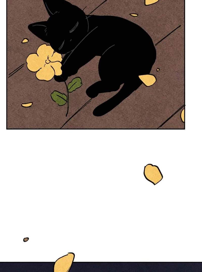 The Tale Of Goldiluck, The Black Kitten Chapter 112 - page 37