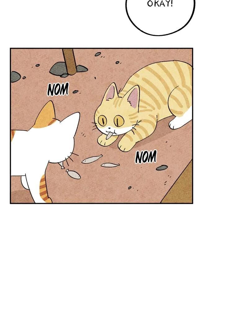 The Tale Of Goldiluck, The Black Kitten Chapter 112 - page 51
