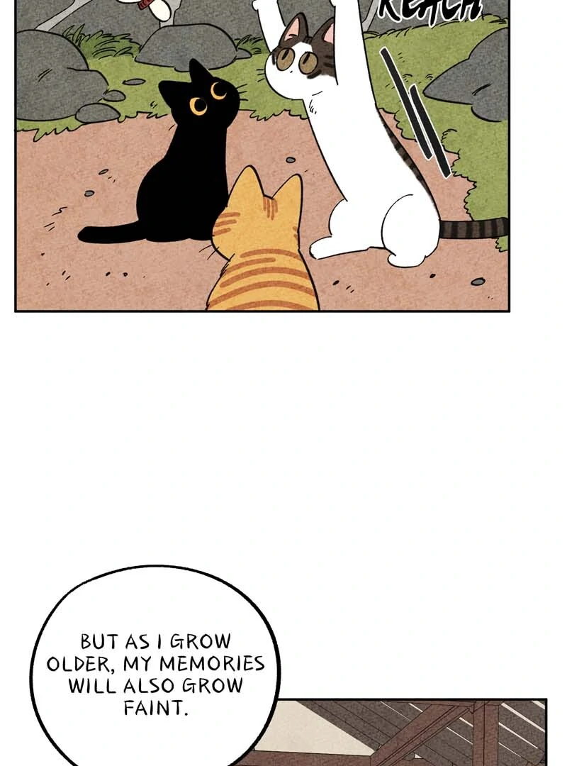 The Tale Of Goldiluck, The Black Kitten Chapter 112 - page 62