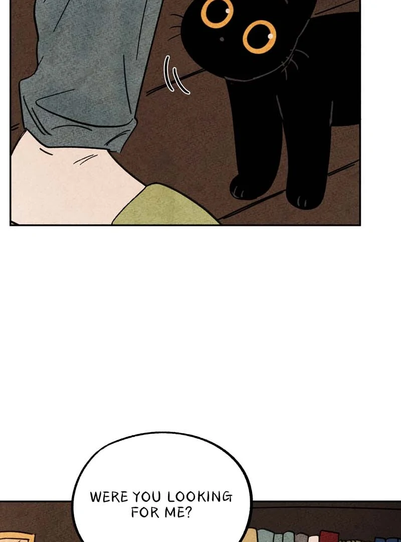 The Tale Of Goldiluck, The Black Kitten Chapter 112 - page 84