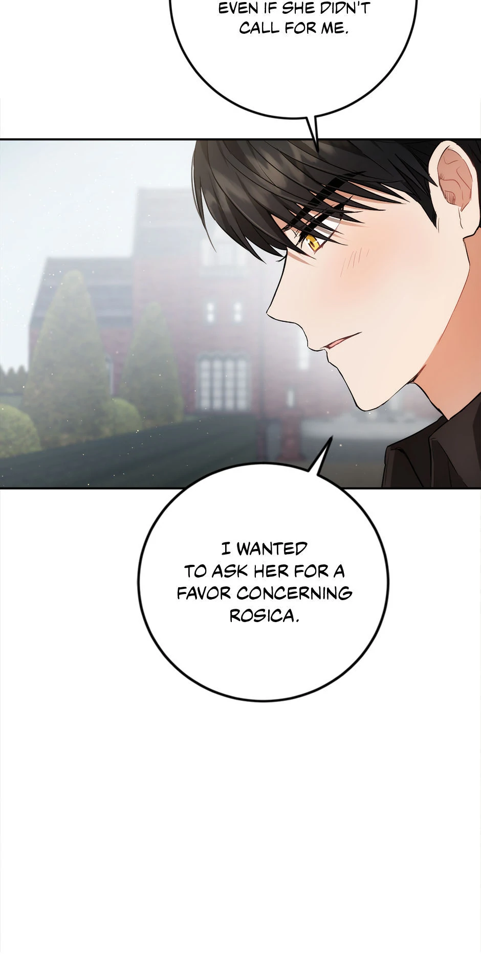 The Heiress's Double Life Chapter 90 - page 65