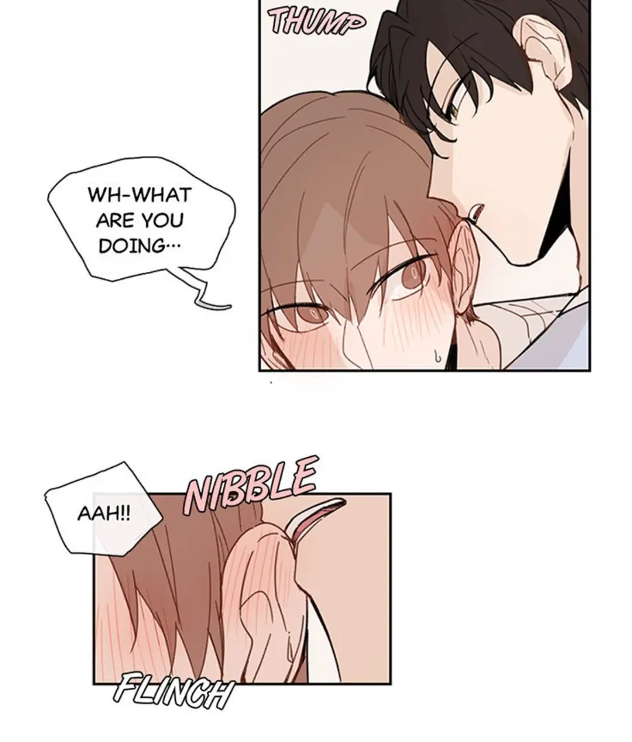 Perfect Crush Chapter 23 - page 29