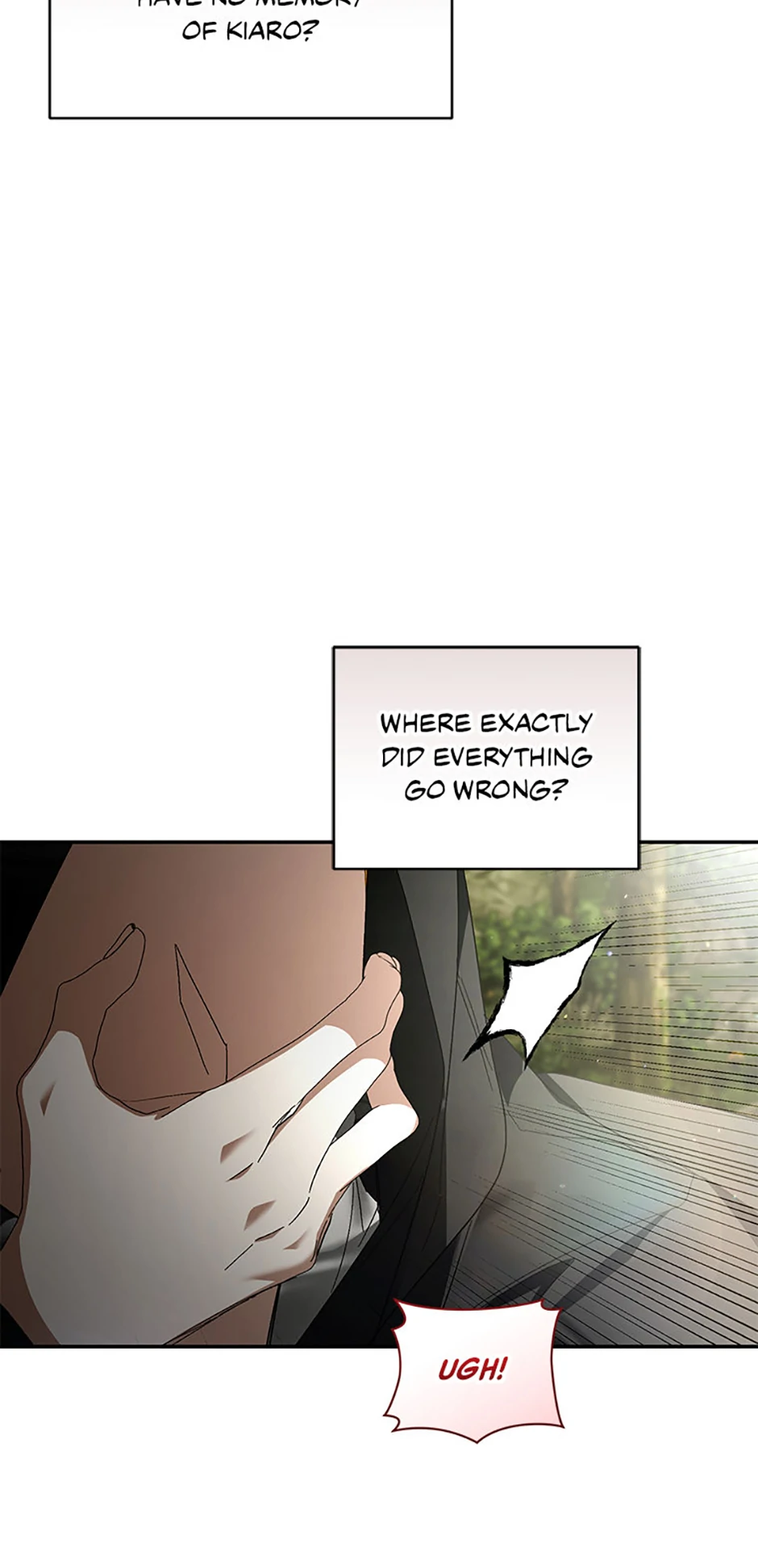 Falling into the Arms of a Mad Villain Chapter 51 - page 15