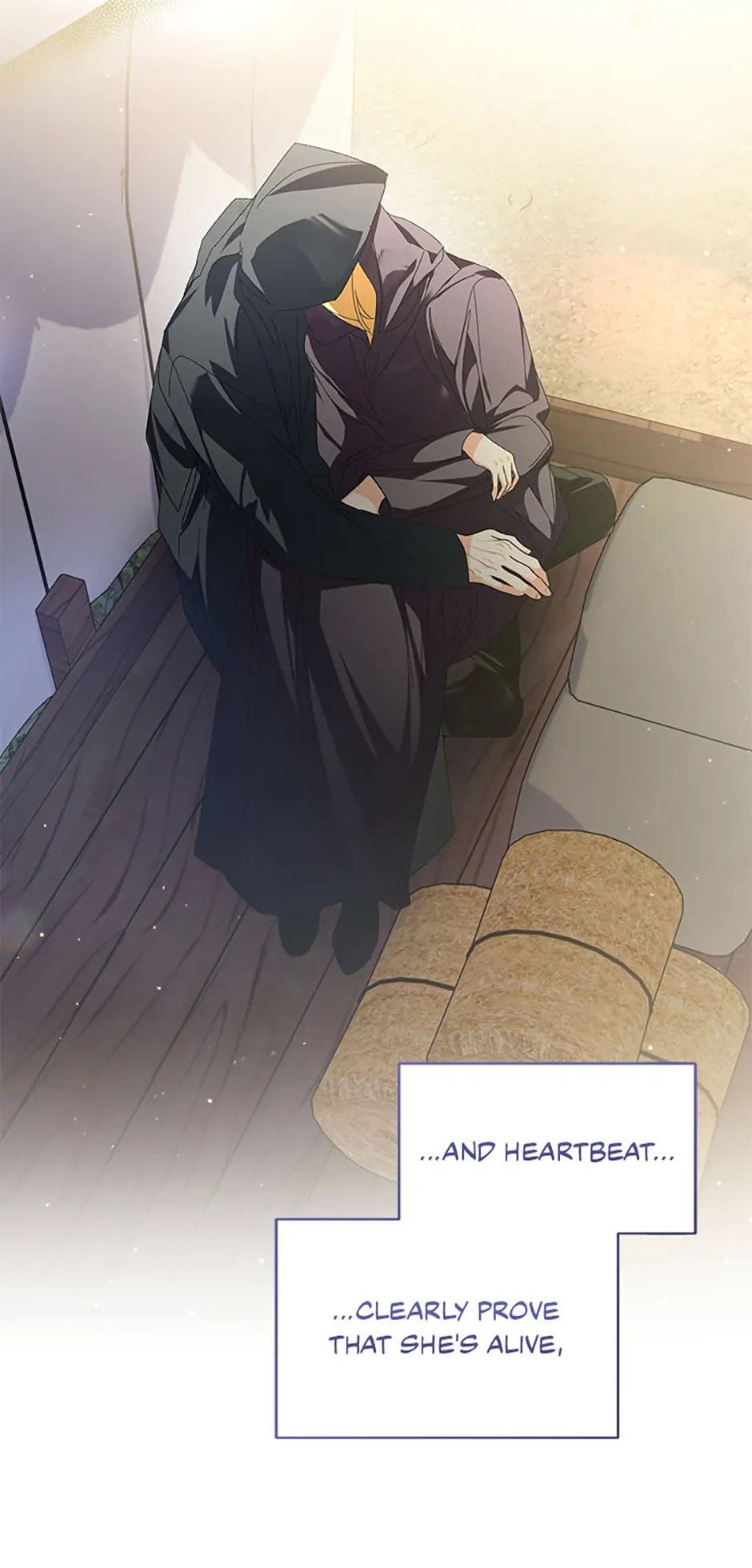 Falling into the Arms of a Mad Villain Chapter 52 - page 29