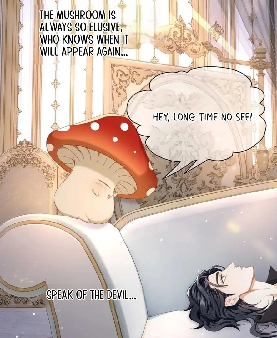 I Was Reborn as His Highness the Prince's Little Evil Dragon Chapter 66 - page 11