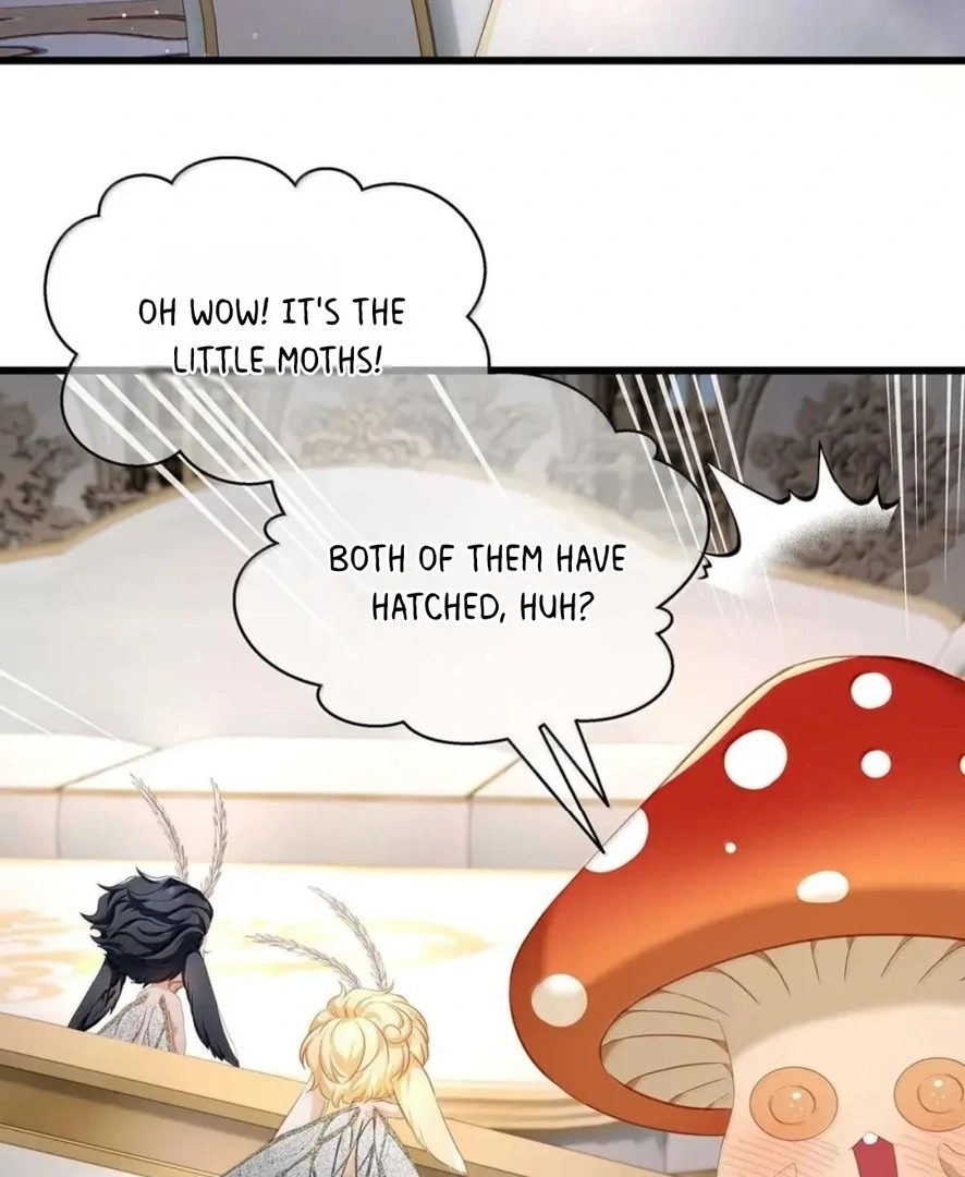I Was Reborn as His Highness the Prince's Little Evil Dragon Chapter 66 - page 12