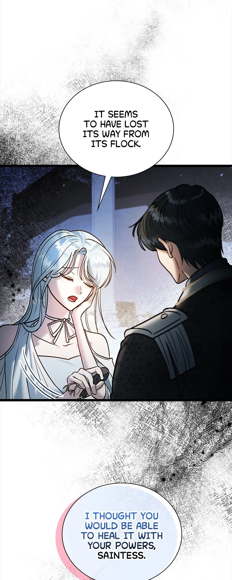 Becoming a Wicked Witch With a Paladin’s First Night Chapter 29 - page 14