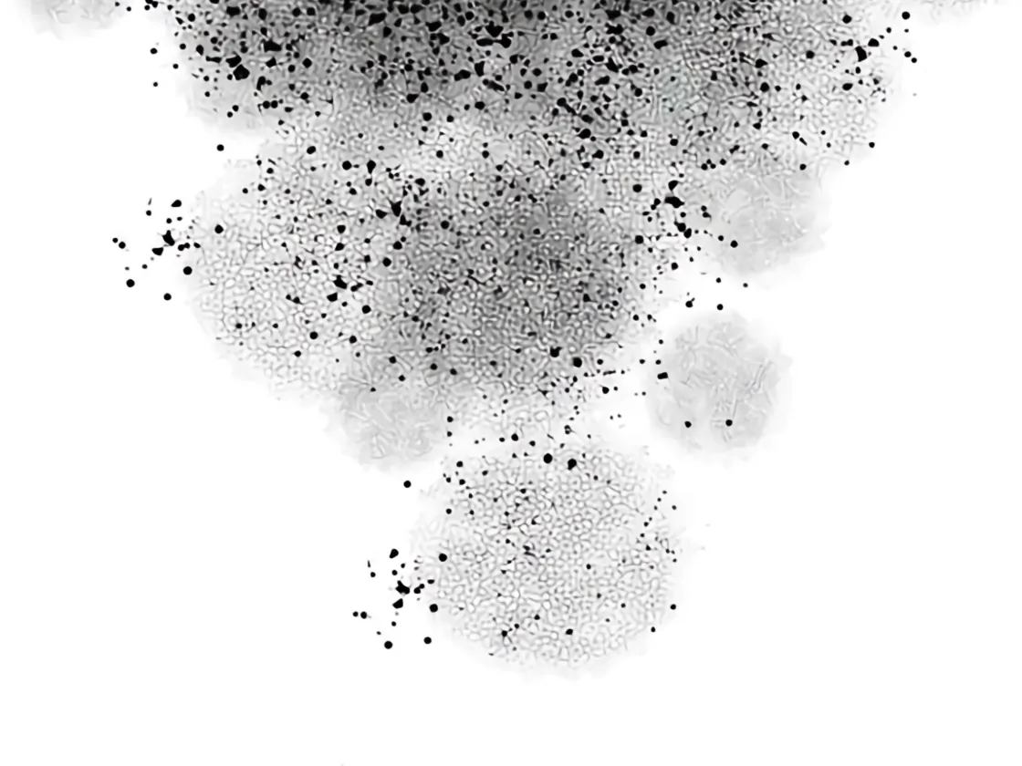 My Lovely Bodyguard Chapter 110 - page 14