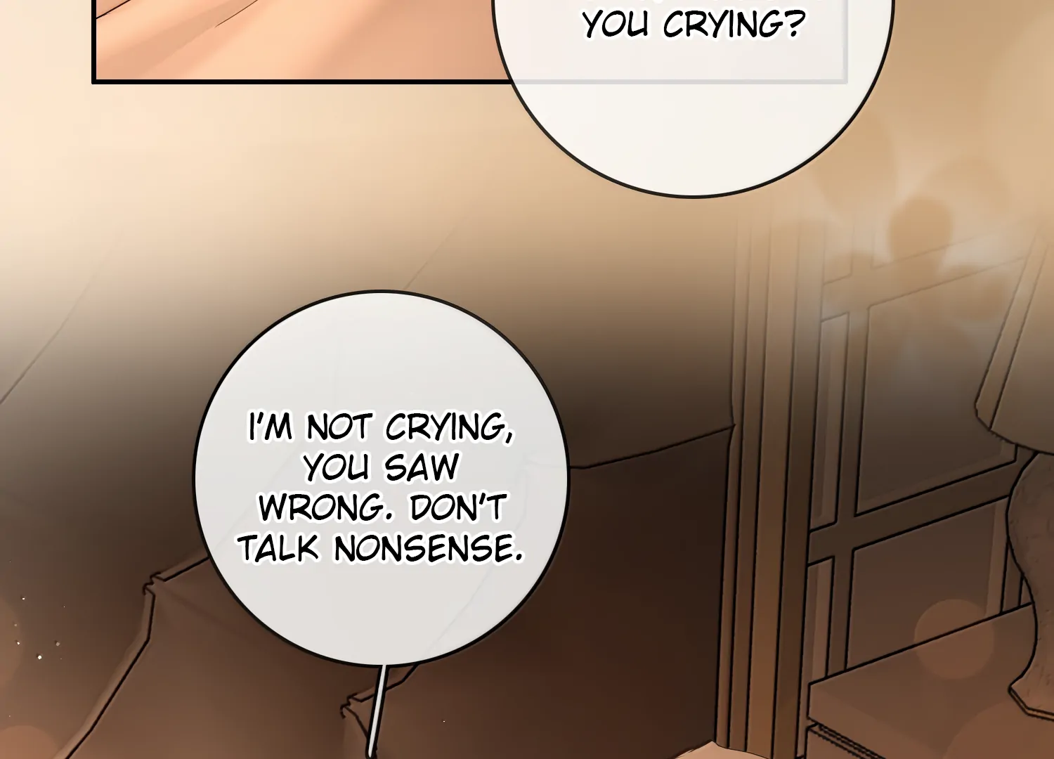 Lang Xiaojie He Ta De Huli Meimei Chapter 51 - page 29