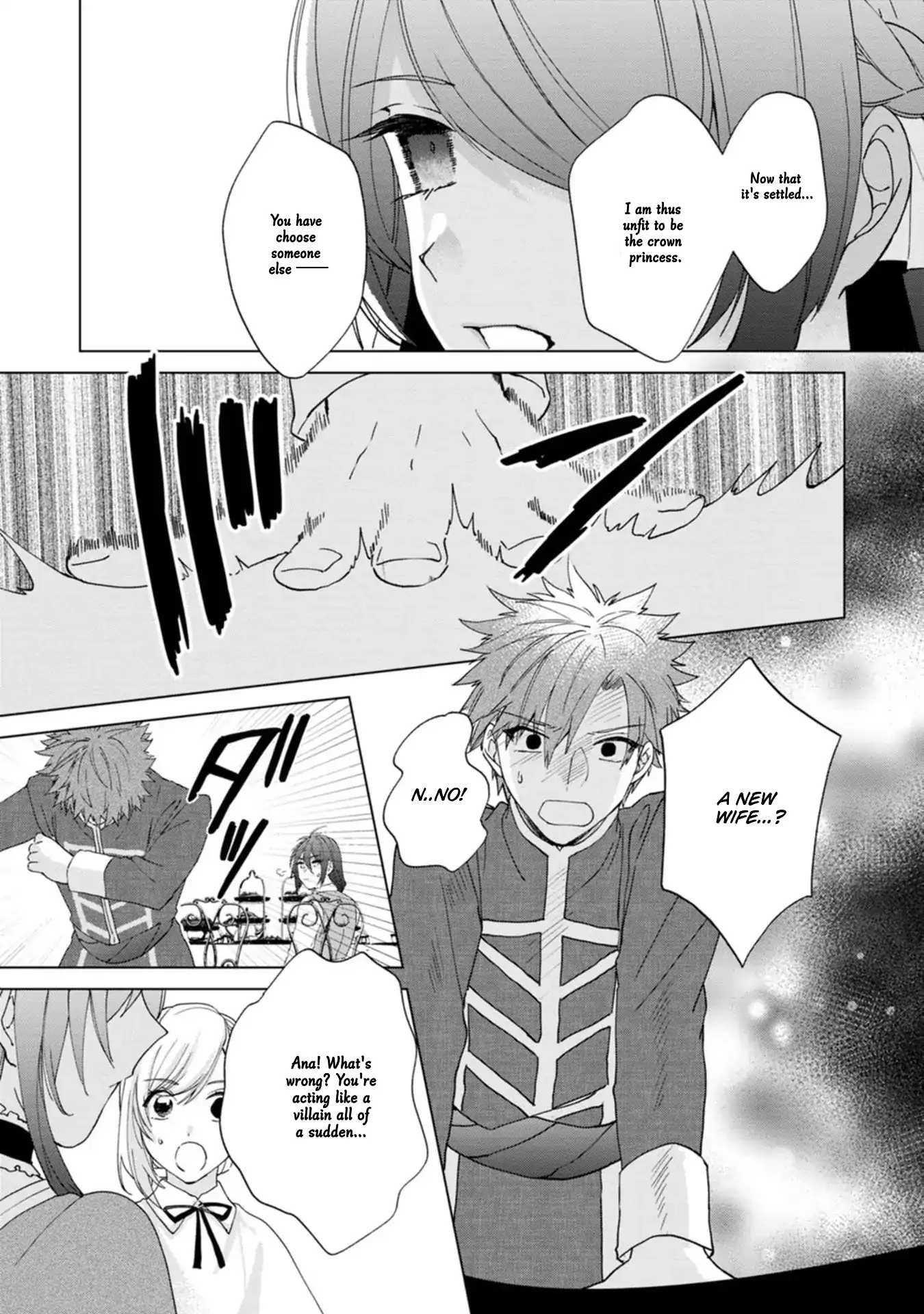 The Villainess wants to get rid of her husband! -I was doing whatever I wanted, but for some reason it was called "The Crown Prince's Book"~ Chapter 20 - page 12