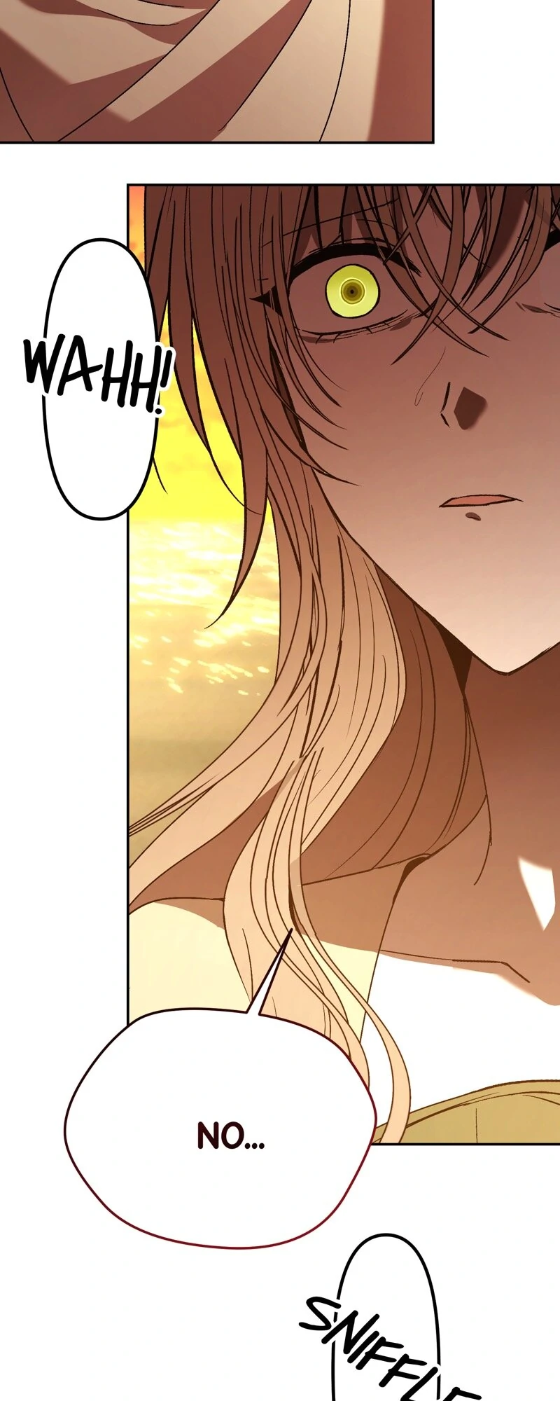 The Handmaiden Dreams at Sunset Chapter 58 - page 14