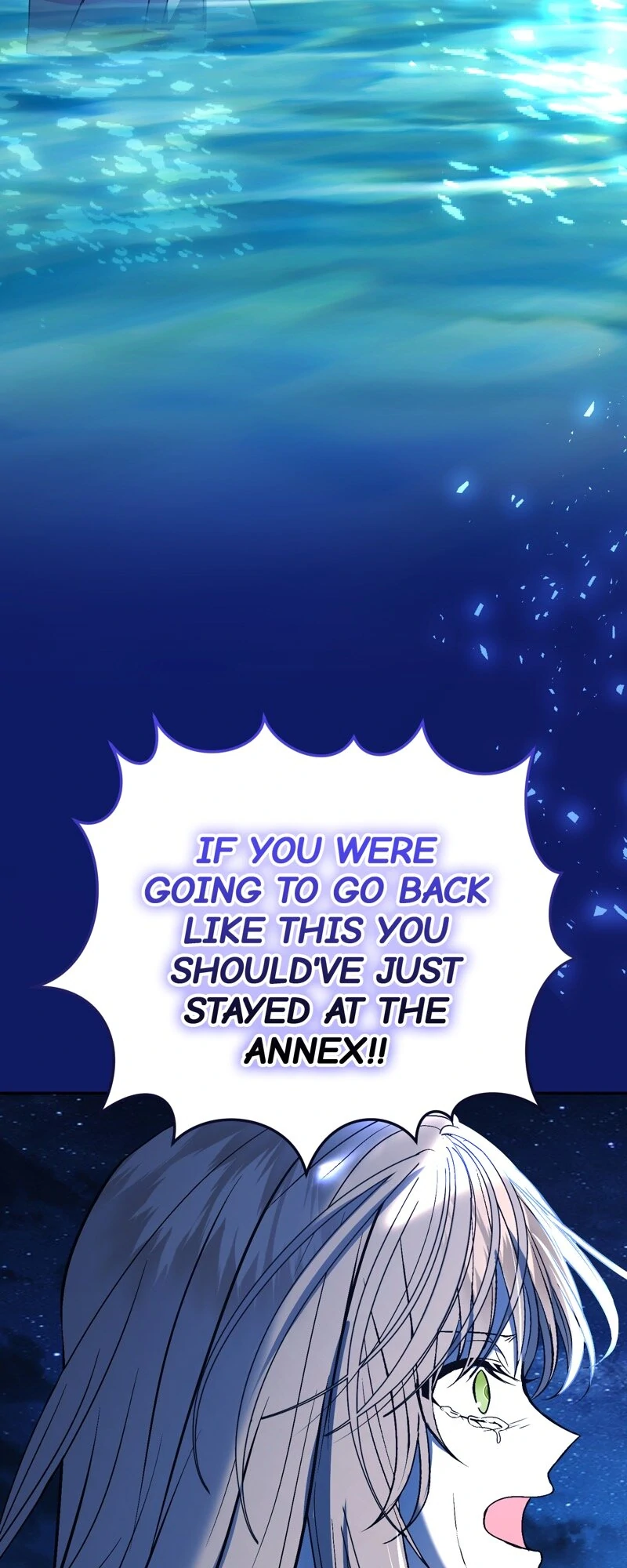 The Handmaiden Dreams at Sunset Chapter 58 - page 54