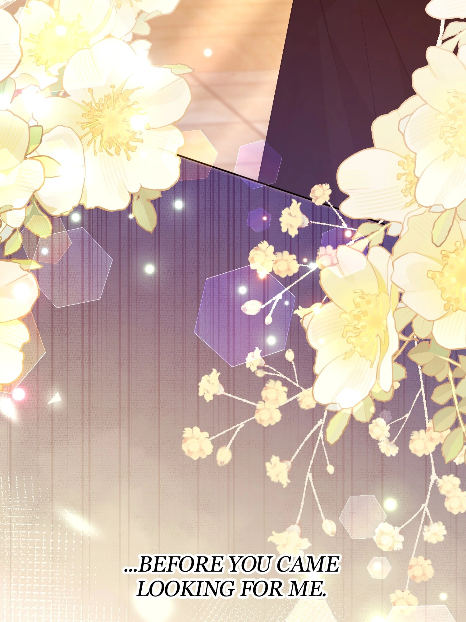 The Handmaiden Dreams at Sunset Chapter 60 - page 32