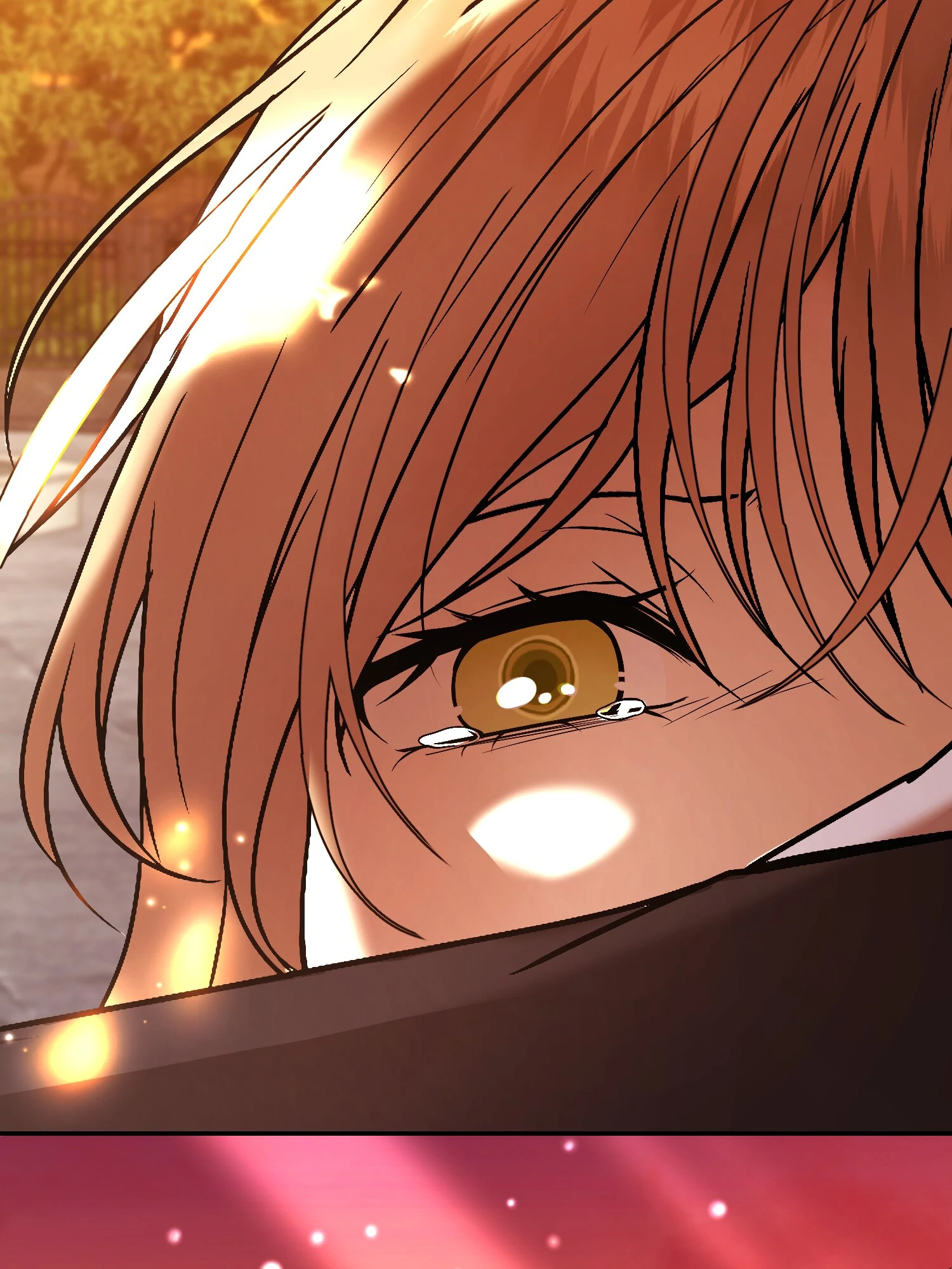 The Handmaiden Dreams at Sunset Chapter 61 - page 107