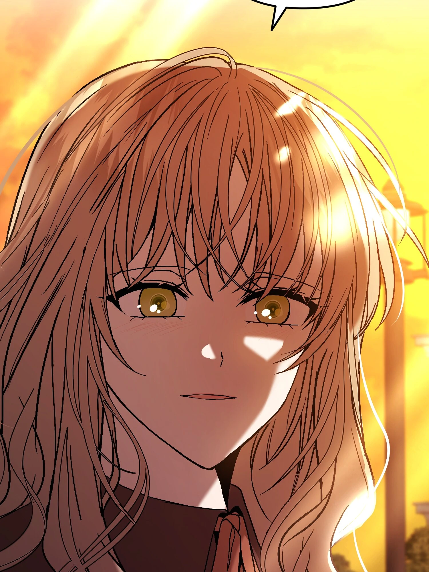 The Handmaiden Dreams at Sunset Chapter 61 - page 99