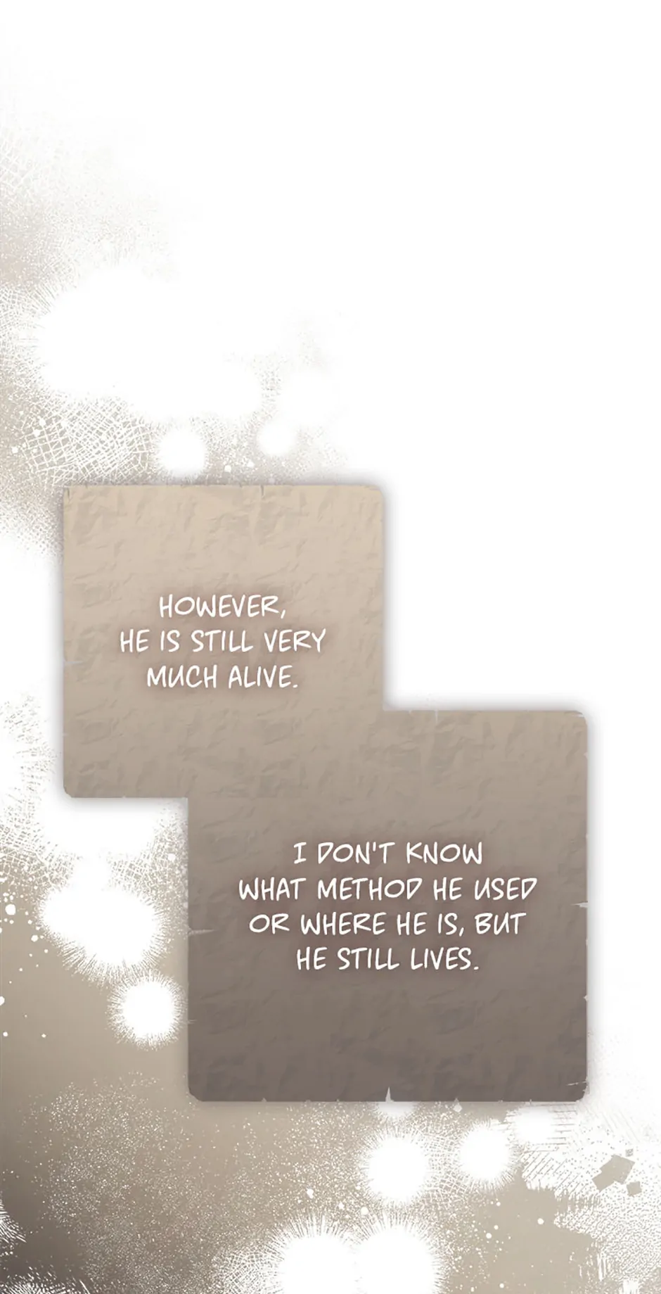 The Fake Lady of House Silkisia Chapter 85 - page 48