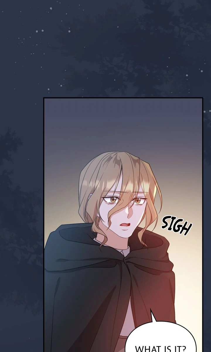 The Fairy Legacy Chapter 63 - page 23