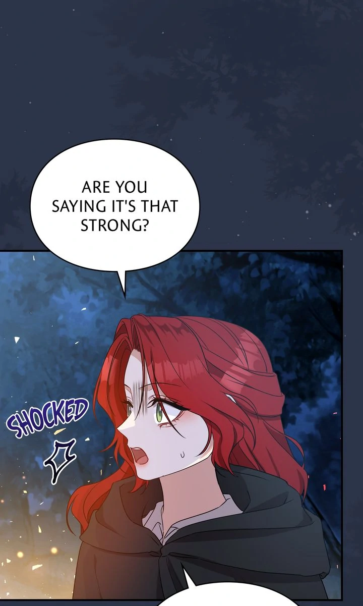 The Fairy Legacy Chapter 63 - page 46