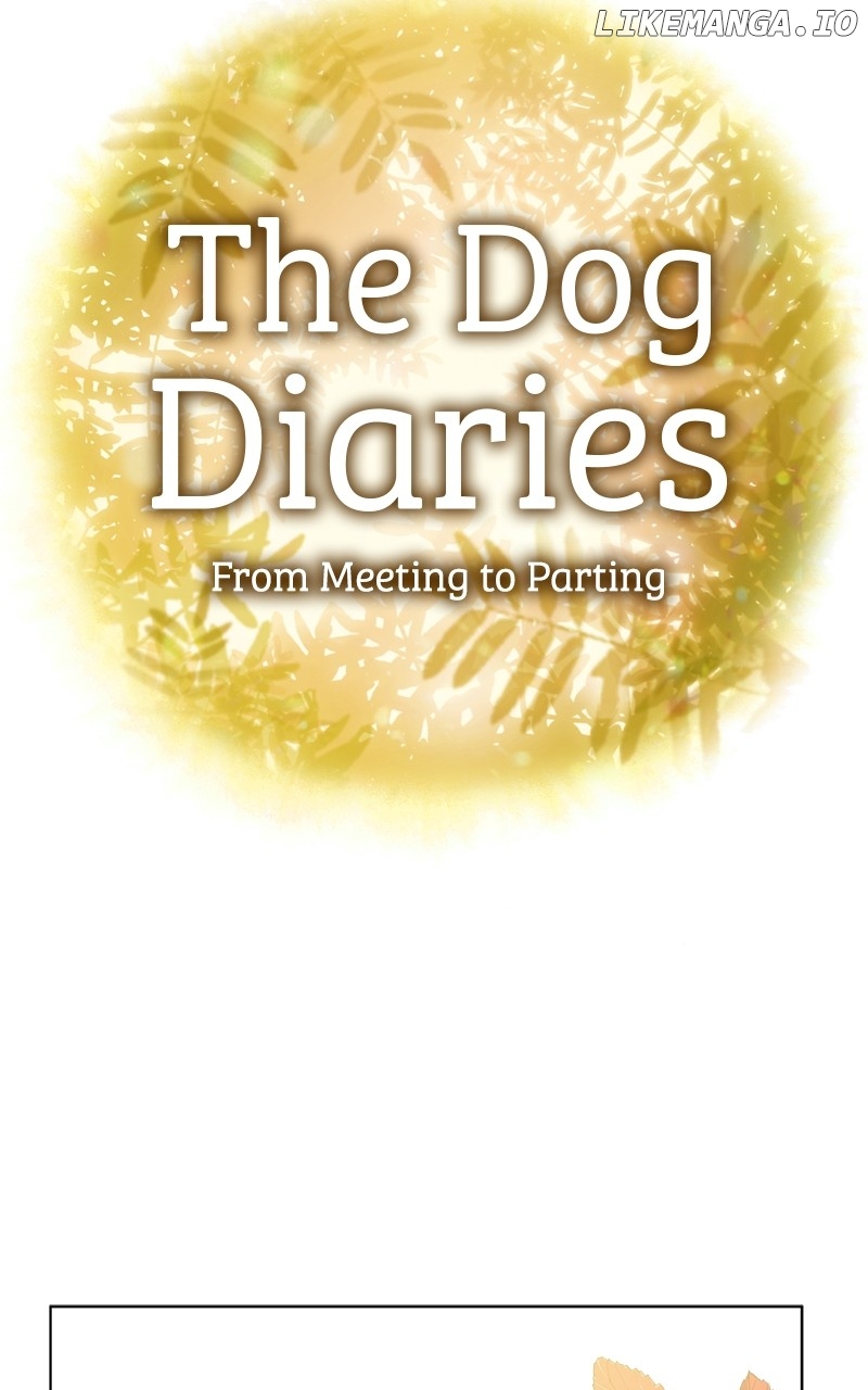The Dog Diaries Chapter 191 - page 31