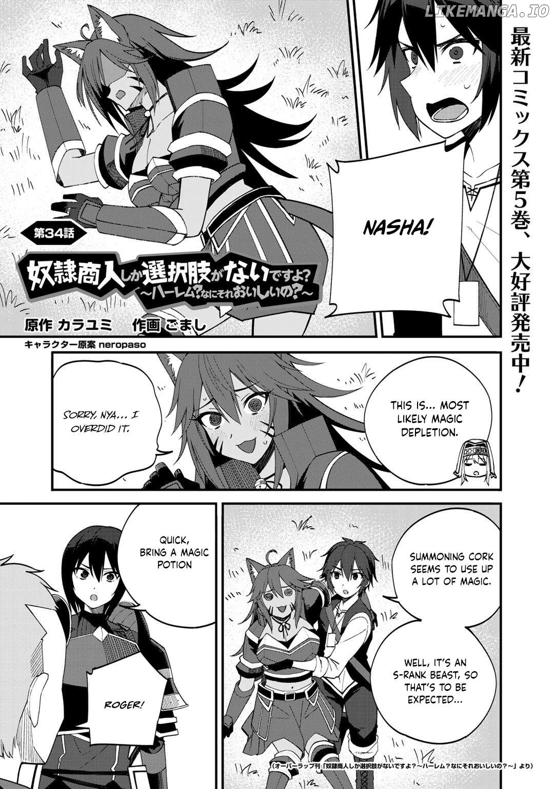 Dorei Shounin Shika Sentakushi Ga Nai desu Yo? ~Harem? Nani sore oishii no?~ Chapter 34 - page 2