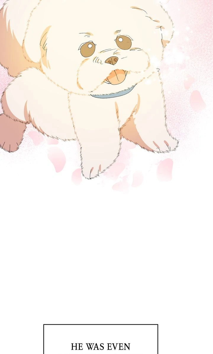 If You Want a Fake Sister Chapter 78 - page 20