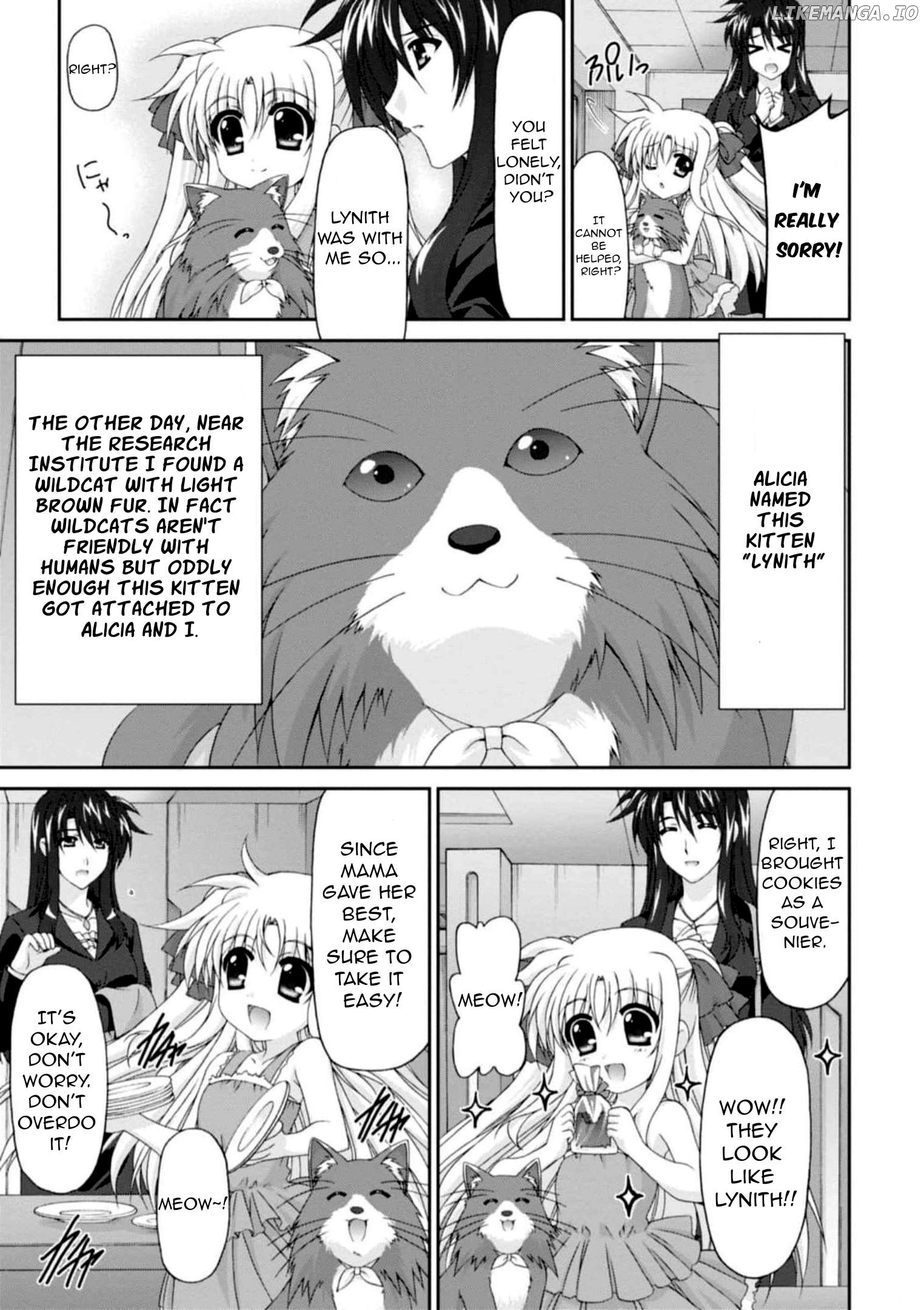 ORIGINAL CHRONICLE Magical Girl Lyrical Nanoha The 1st Chapter 12 - page 7