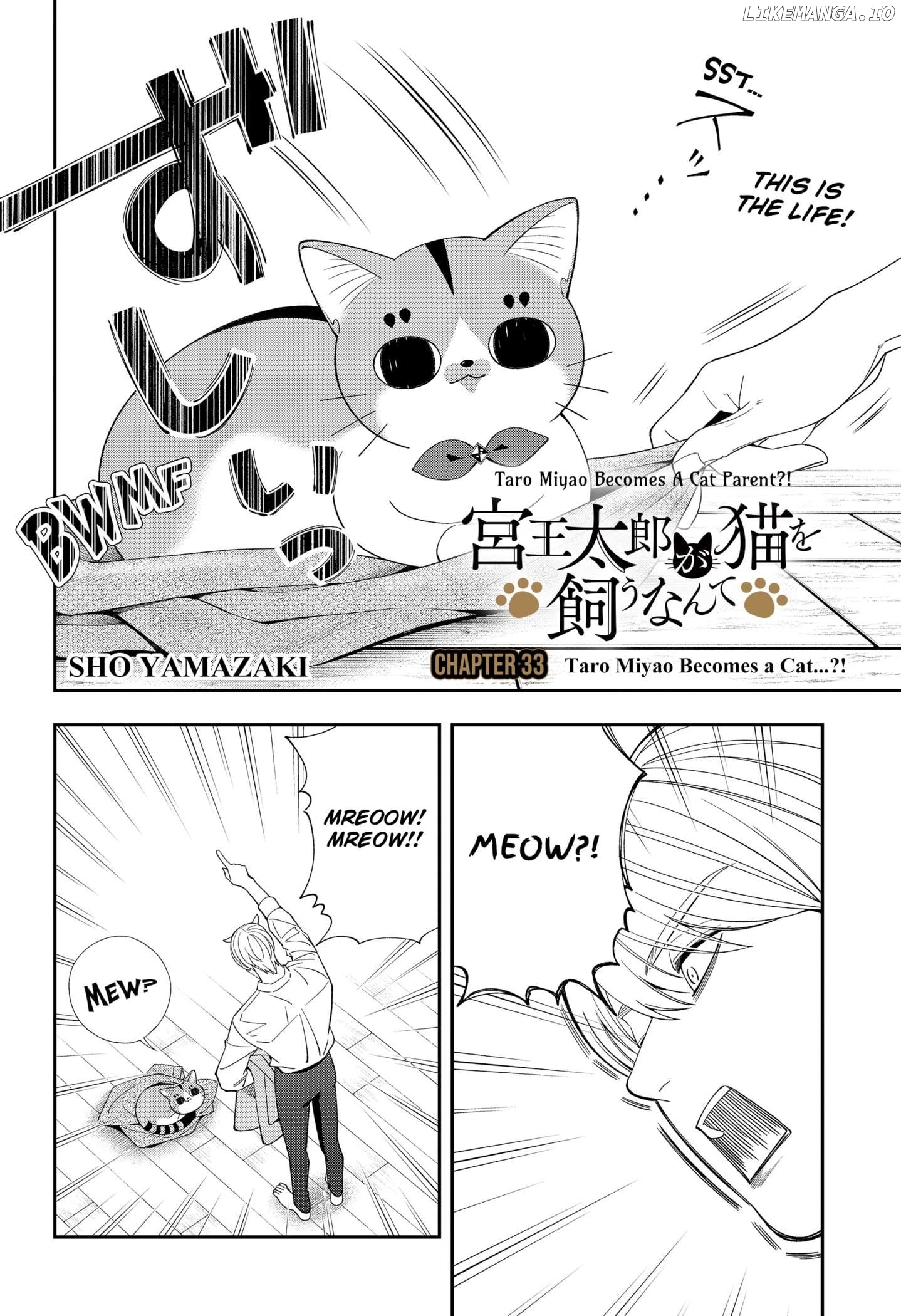 Taro Miyao Becomes A Cat Parent?! Chapter 33 - page 2